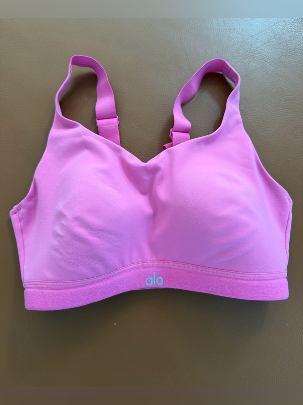 ALO Yoga Pink Sports Bra 34D | Medium Support |
Preloved